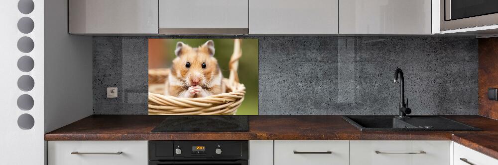 Cooker splashback Hamster in the basket