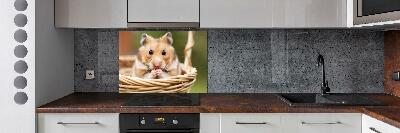 Cooker splashback Hamster in the basket