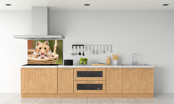 Cooker splashback Hamster in the basket