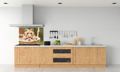 Cooker splashback Hamster in the basket