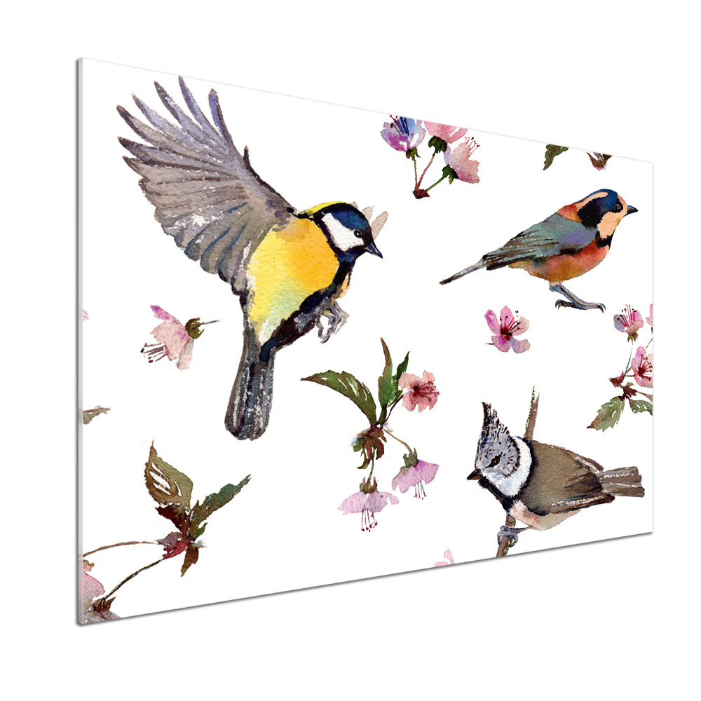 Kitchen splashback Birds cherry flowers