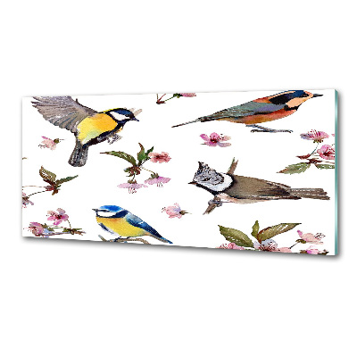 Kitchen splashback Birds cherry flowers