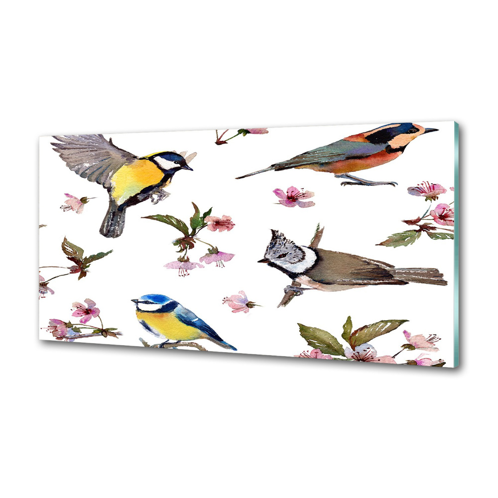 Kitchen splashback Birds cherry flowers