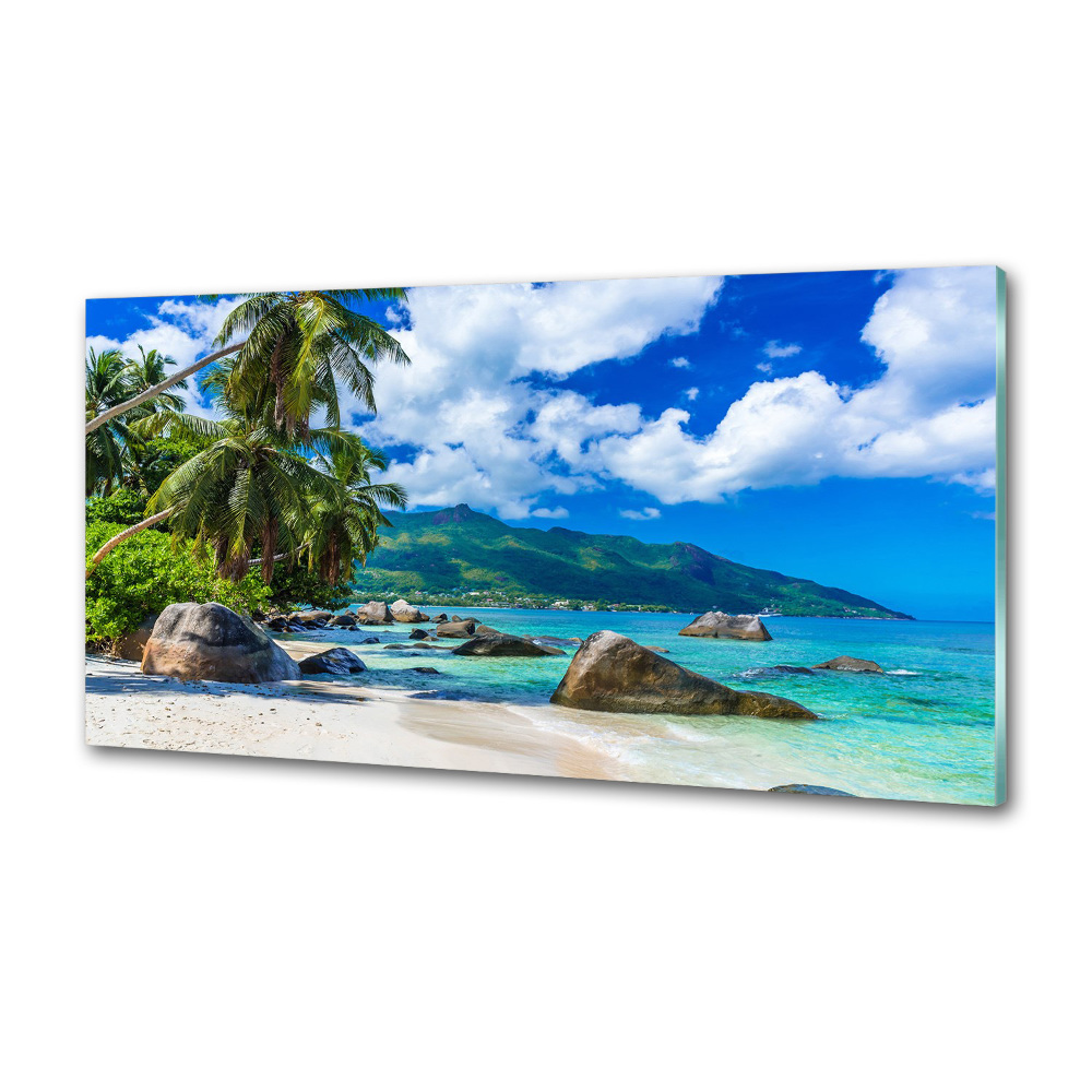 Hob splashback Seychelles beach