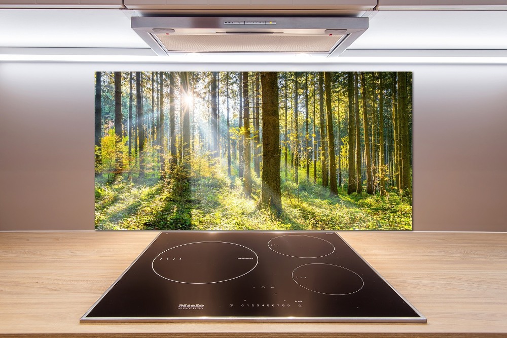 Kitchen splashback Forest in the sun