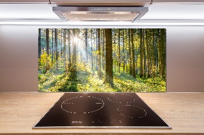 Kitchen splashback Forest in the sun