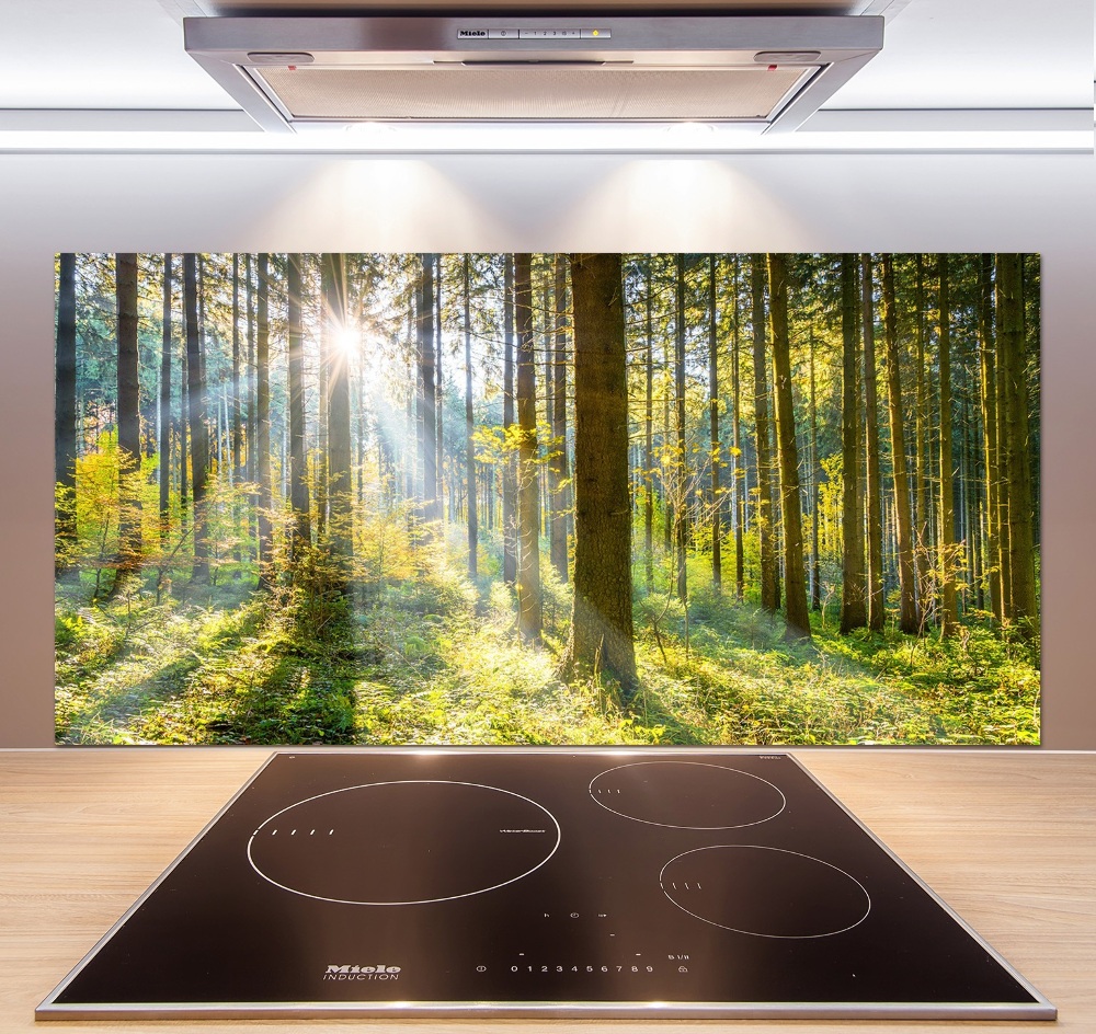 Kitchen splashback Forest in the sun