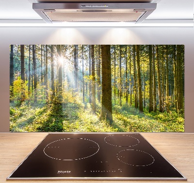 Kitchen splashback Forest in the sun