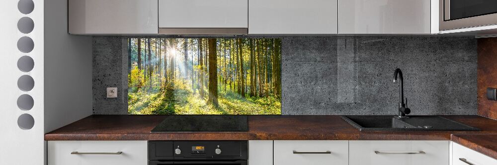 Kitchen splashback Forest in the sun