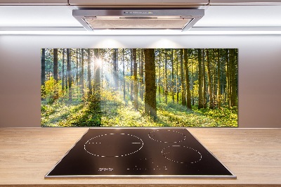 Kitchen splashback Forest in the sun