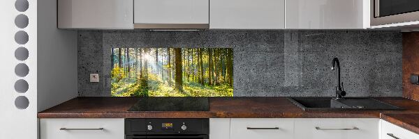 Kitchen splashback Forest in the sun