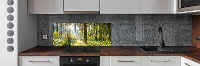 Kitchen splashback Forest in the sun