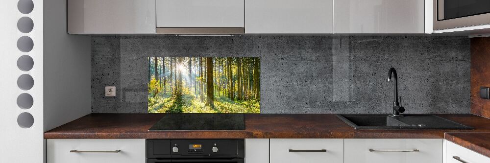 Kitchen splashback Forest in the sun