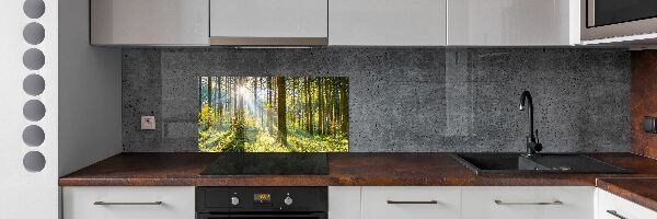 Kitchen splashback Forest in the sun