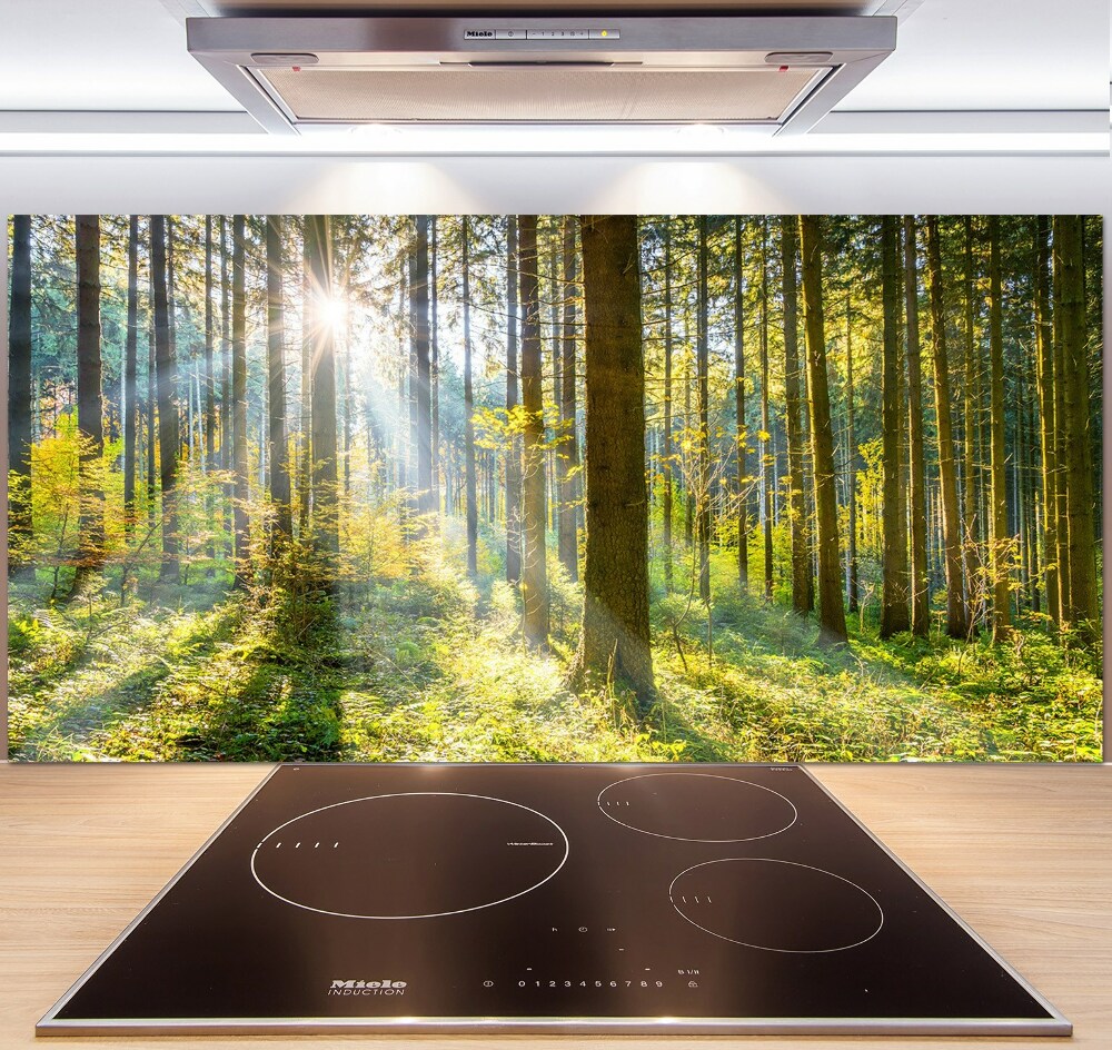 Kitchen splashback Forest in the sun