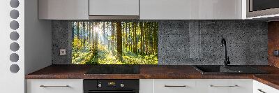 Kitchen splashback Forest in the sun