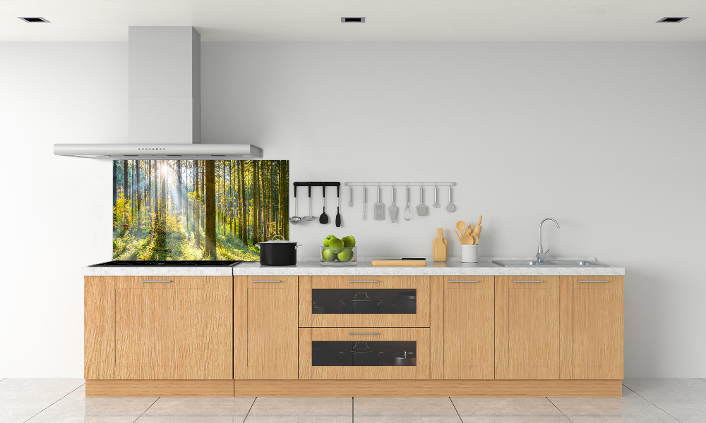 Kitchen splashback Forest in the sun