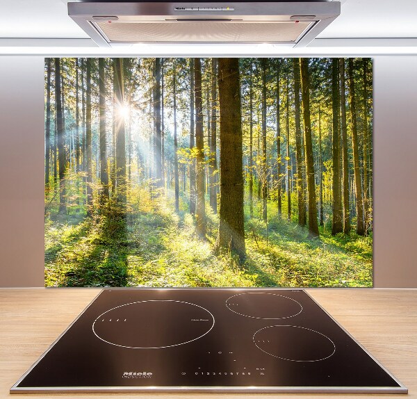 Kitchen splashback Forest in the sun