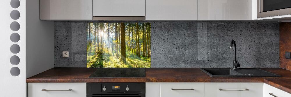 Kitchen splashback Forest in the sun