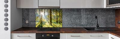 Kitchen splashback Forest in the sun