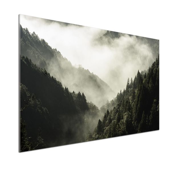 Glass splashback Fog over the forest