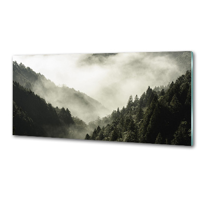 Glass splashback Fog over the forest