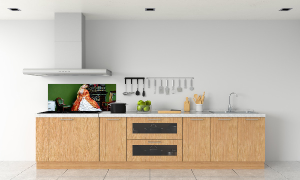 Cooker splashback Aristocrat