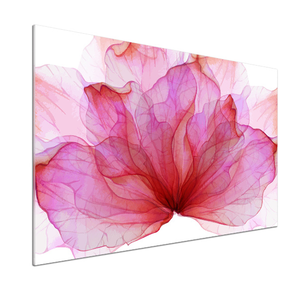 Cooker splashback Pink flower