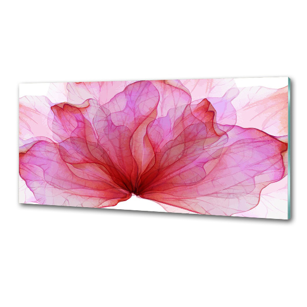 Cooker splashback Pink flower