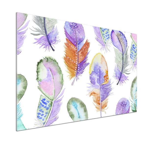 Kitchen wall panels Colorful feathers