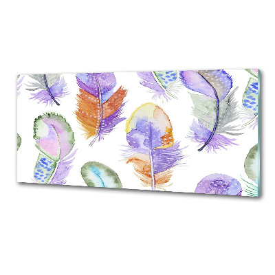 Kitchen wall panels Colorful feathers