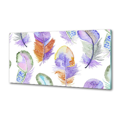 Kitchen wall panels Colorful feathers