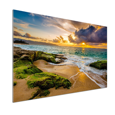 Kitchen wall panels Sunset sea