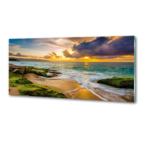 Kitchen wall panels Sunset sea