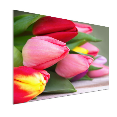 Cooker splashback Colorful tulips