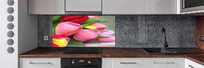 Cooker splashback Colorful tulips