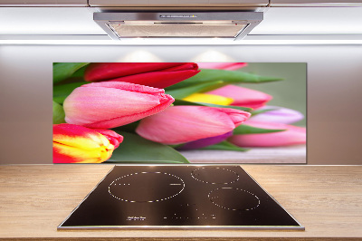 Cooker splashback Colorful tulips