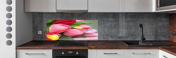 Cooker splashback Colorful tulips