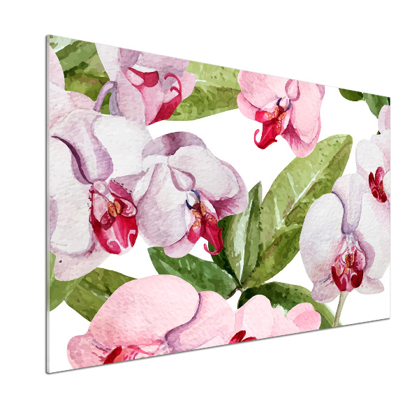 Cooker splashback Pink orchids