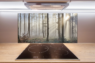 Cooker splashback Fog in the forest