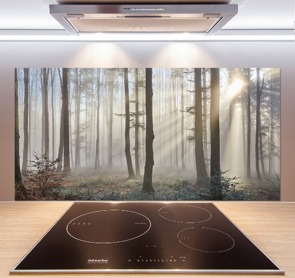 Cooker splashback Fog in the forest