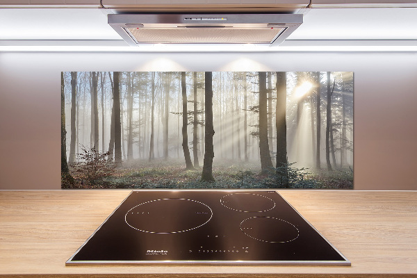 Cooker splashback Fog in the forest