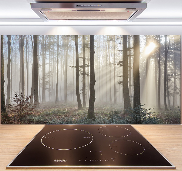 Cooker splashback Fog in the forest