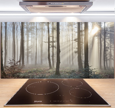 Cooker splashback Fog in the forest