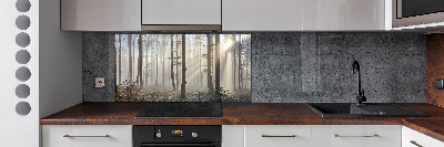 Cooker splashback Fog in the forest