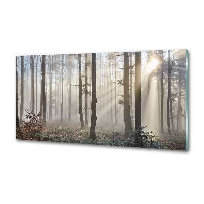 Cooker splashback Fog in the forest