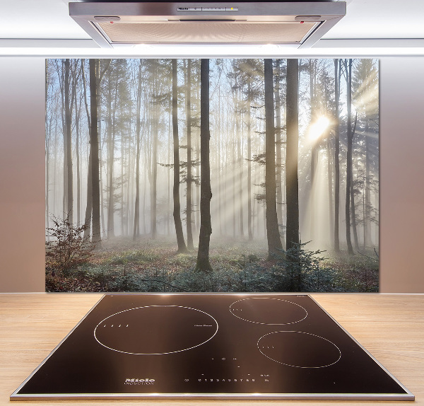 Cooker splashback Fog in the forest