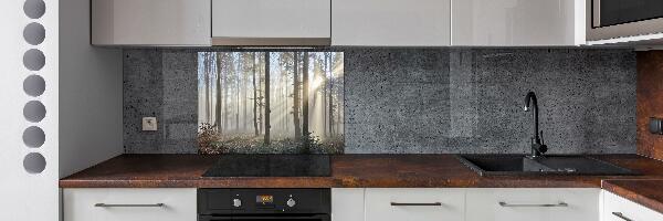 Cooker splashback Fog in the forest