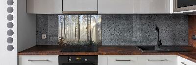 Cooker splashback Fog in the forest