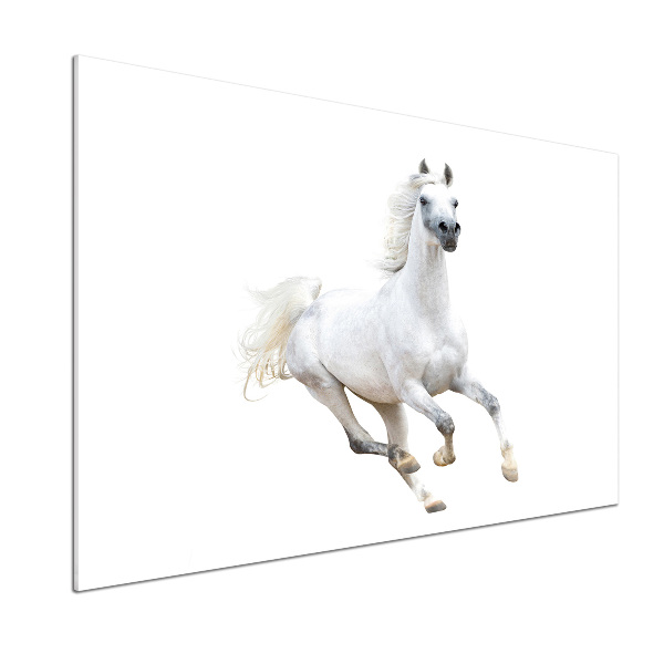 Cooker splashback White Arabic horse